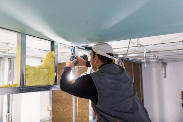 Types of Insulation We Offer in Spring Ridge, MD