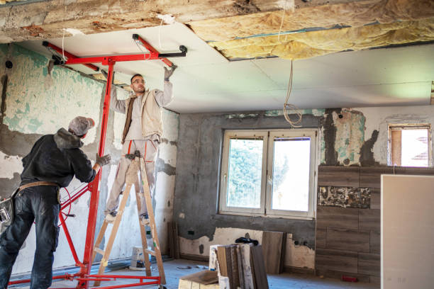 Professional Insulation Contractor in Spring Ridge, MD