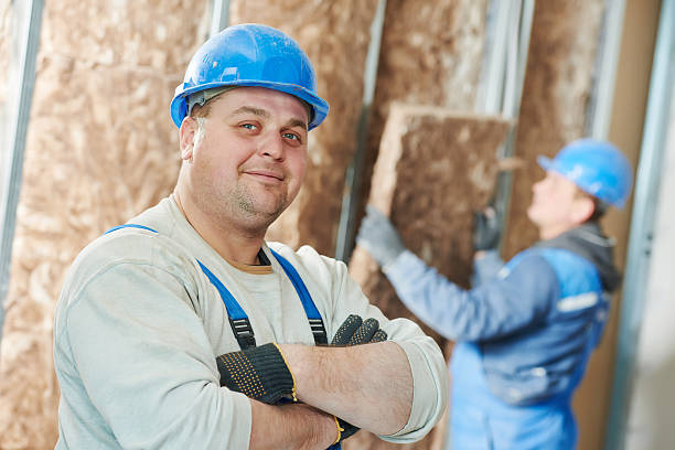 Best Geographic-Specific Insulation Services in Spring Ridge, MD